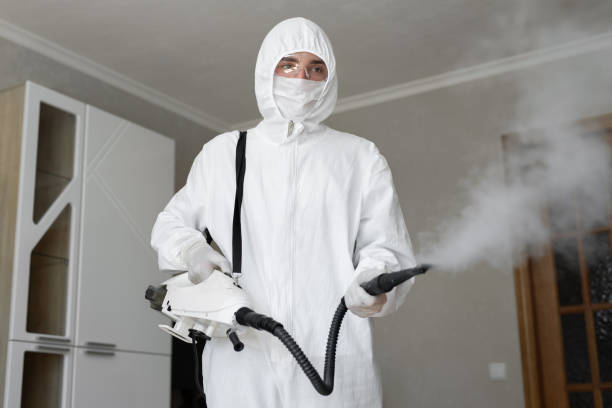 Trusted Jasper, TN Mold Removal & Remediation Experts